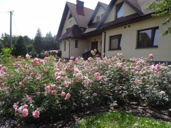 Skalny Apartamenty, Pokoje Ogrodzieniec Dış mekan fotoğraf
