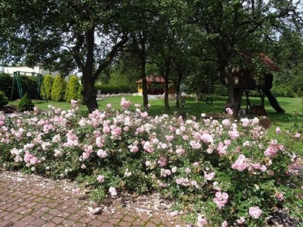Skalny Apartamenty, Pokoje Ogrodzieniec Dış mekan fotoğraf