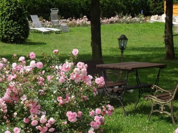 Skalny Apartamenty, Pokoje Ogrodzieniec Dış mekan fotoğraf