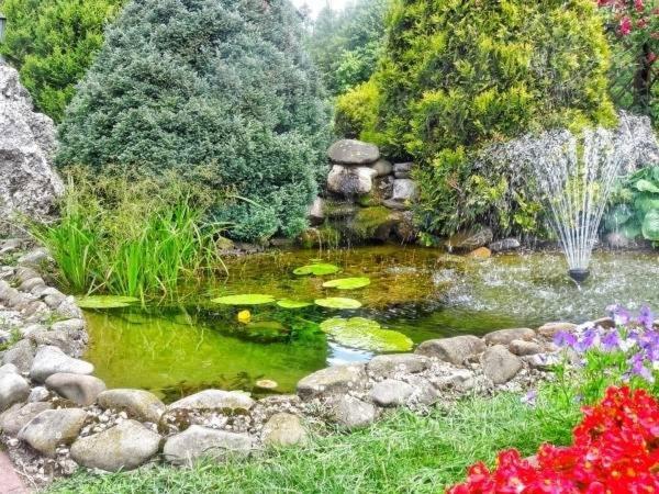 Skalny Apartamenty, Pokoje Ogrodzieniec Dış mekan fotoğraf