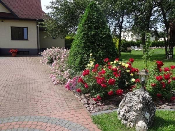 Skalny Apartamenty, Pokoje Ogrodzieniec Dış mekan fotoğraf